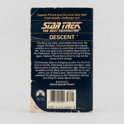 Star Trek: The Next Generation Descent Paperback by Diane Carey – photo 2 of 3